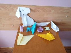 Zajęcia origami