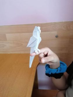 Zajęcia origami